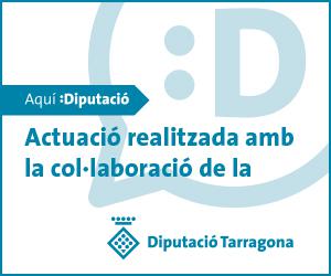 Subvencions per a activitats culturals, esportives i educatives i despeses COVID-19